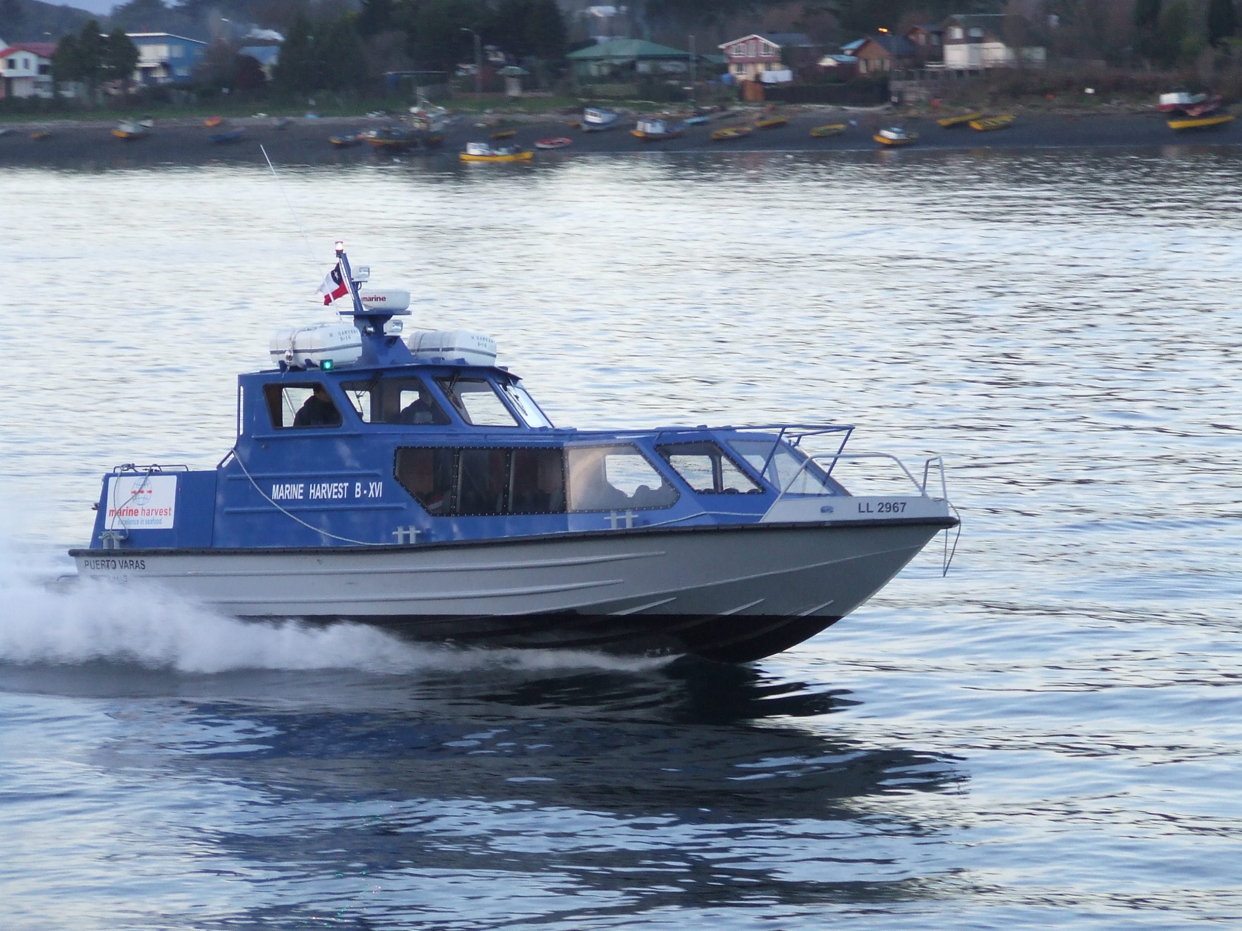 Albatros 1200